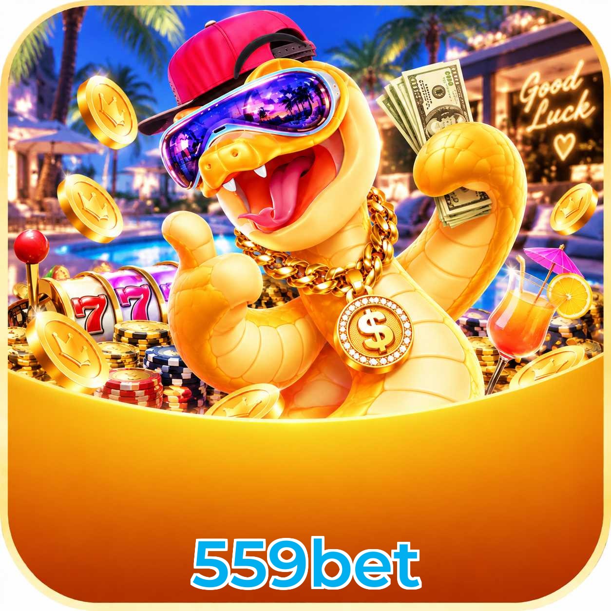 Apostas Ao Vivo 559bet